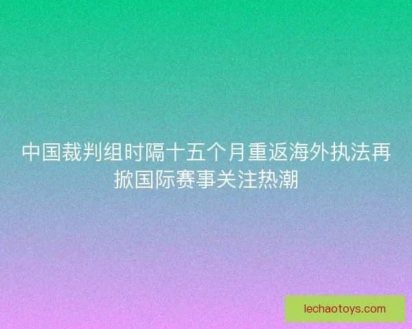 中国裁判组时隔十五个月重返海外执法再掀国际赛事关注热潮